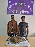 মুন্সীগঞ্জে ৬'শ গ্রাম গাজাসহ গ্রেফতার একজন 