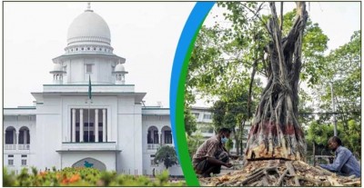 আদালত অবমাননার শুনানি মুলতবি, সোহরাওয়ার্দীতে গাছ কাটা আপাতত বন্ধই থাকছে আদালত অবমাননার শুনানি মুলতবি, সোহরাওয়ার্দীতে গাছ কাটা আপাতত বন্ধই থাকছে