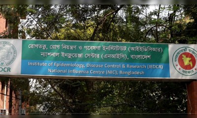 করোনা সংক্রমণের ৮০ শতাংশই ভারতীয় ধরন, অজানা একটি ধরনও শনাক্ত করোনা সংক্রমণের ৮০ শতাংশই ভারতীয় ধরন, অজানা একটি ধরনও শনাক্ত