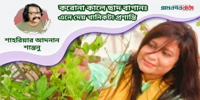 করোনা কালে ছাদবাগানঃ এনে দেয় খানিকটা প্রশান্তি