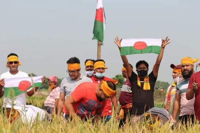 মেহেরপুরে কৃষকের ধান কেটে দিল যুবলীগ মেহেরপুরে কৃষকের ধান কেটে দিল যুবলীগ