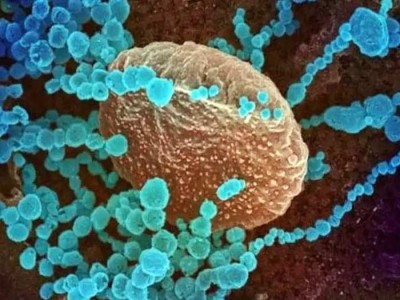 এবার 'ডেল্টা প্লাস' শনাক্ত; আরও কতটা ভয়ঙ্কর করোনা