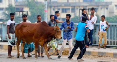 যাদের ওপর কোরবানি ওয়াজিব যাদের ওপর কোরবানি ওয়াজিব